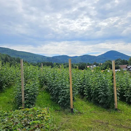 Apartment Pod Laskiem Bystrzyca Klodzka