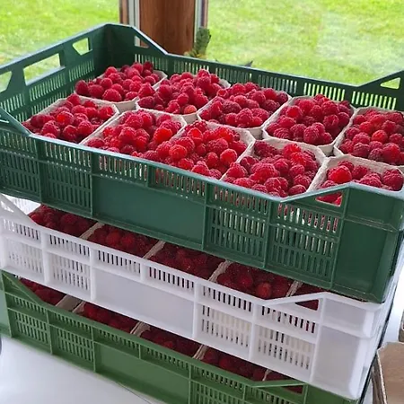 Pod Laskiem Bystrzyca Klodzka