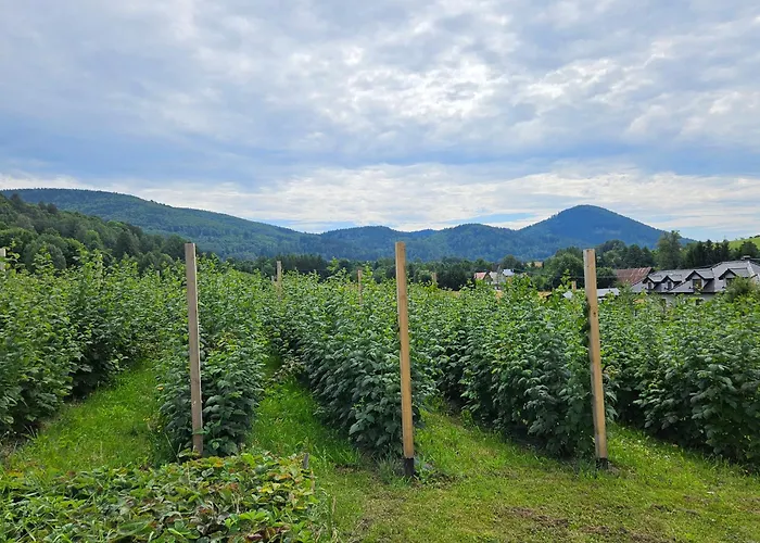 Apartment Pod Laskiem Bystrzyca Klodzka