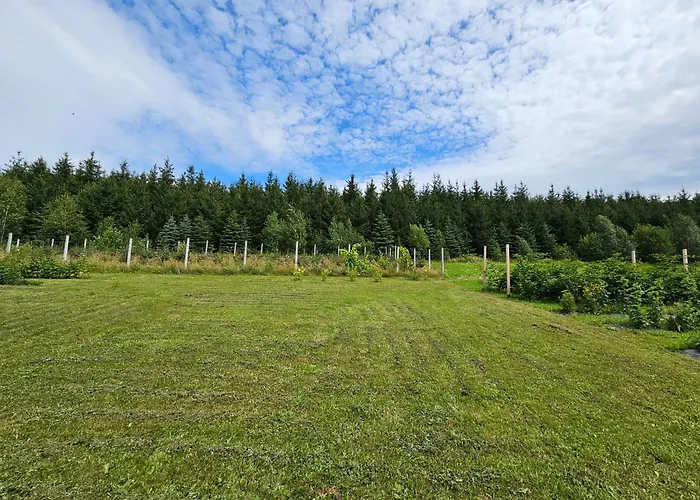 Pod Laskiem Bystrzyca Klodzka