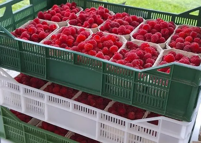 Pod Laskiem Bystrzyca Klodzka